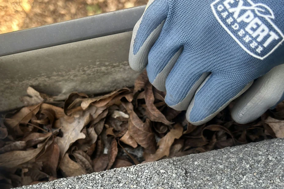 Gutter Cleaning Durham NC